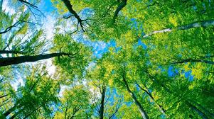 images-2