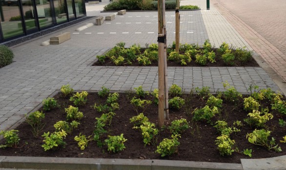 Onderhoud bedrijfstuin