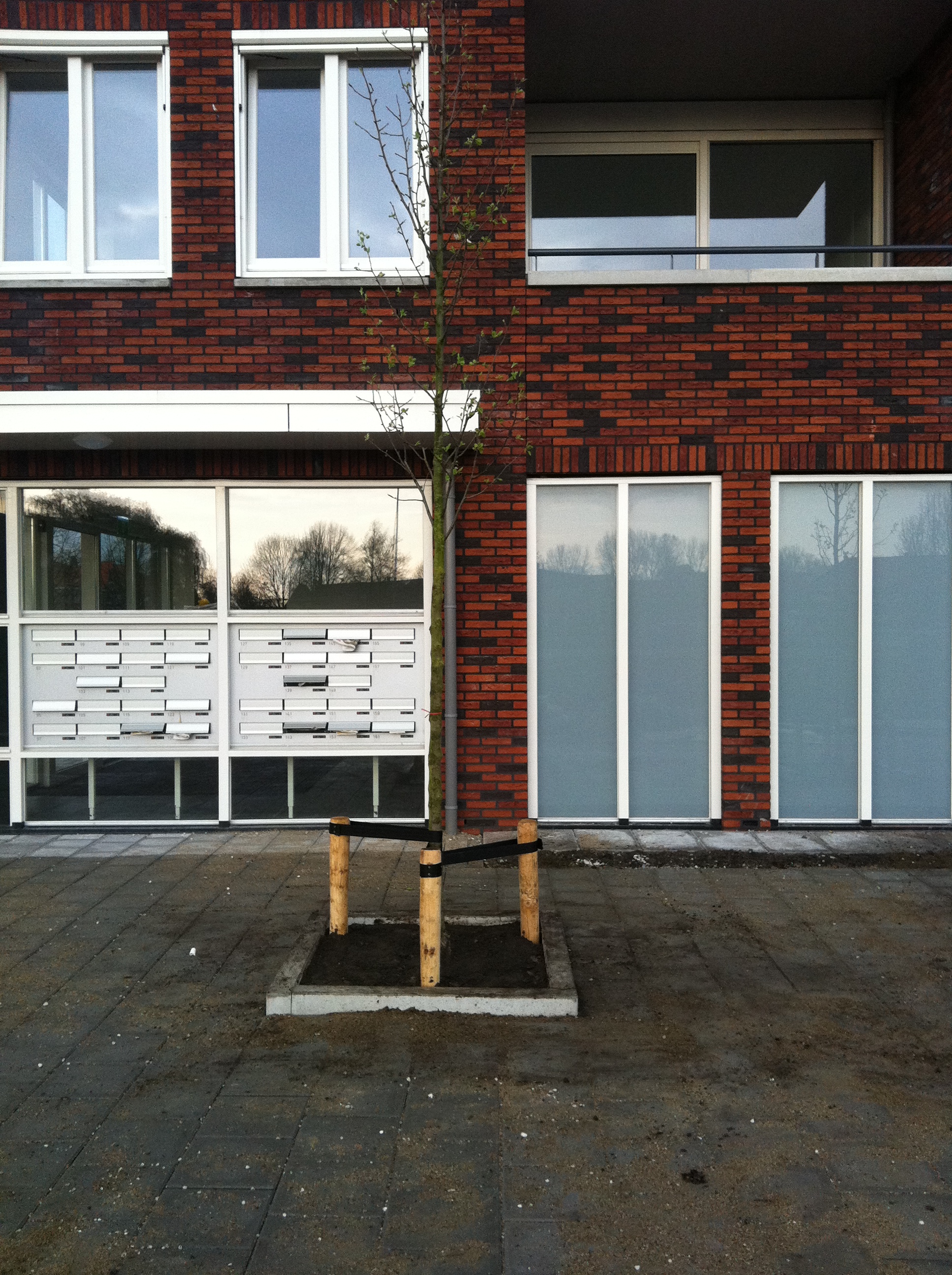 foto,s 085
