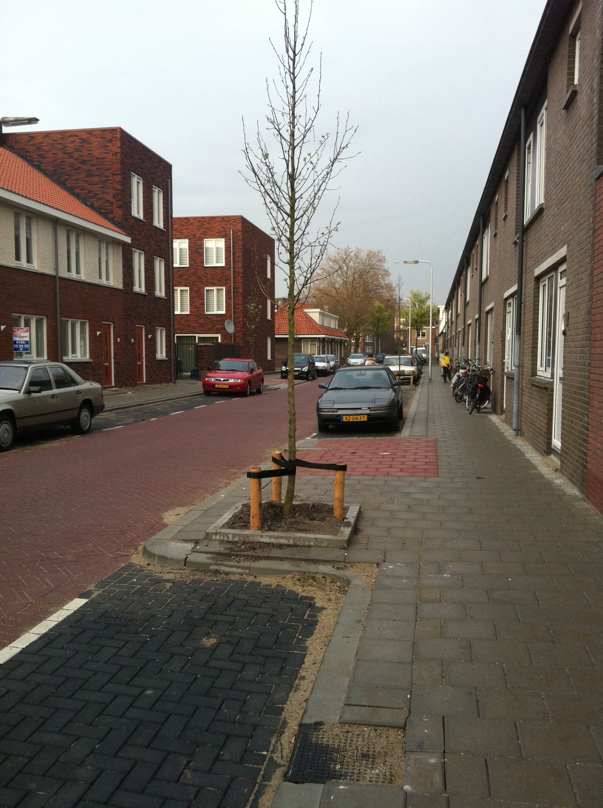 foto,s 095