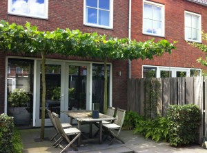 Hovenier Waddinxveen - Tuinonderhoud, tuinaanleg en tuinontwerp