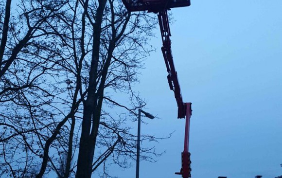 Snoeien met behulp van 16m1 knikgiekhoogwerker