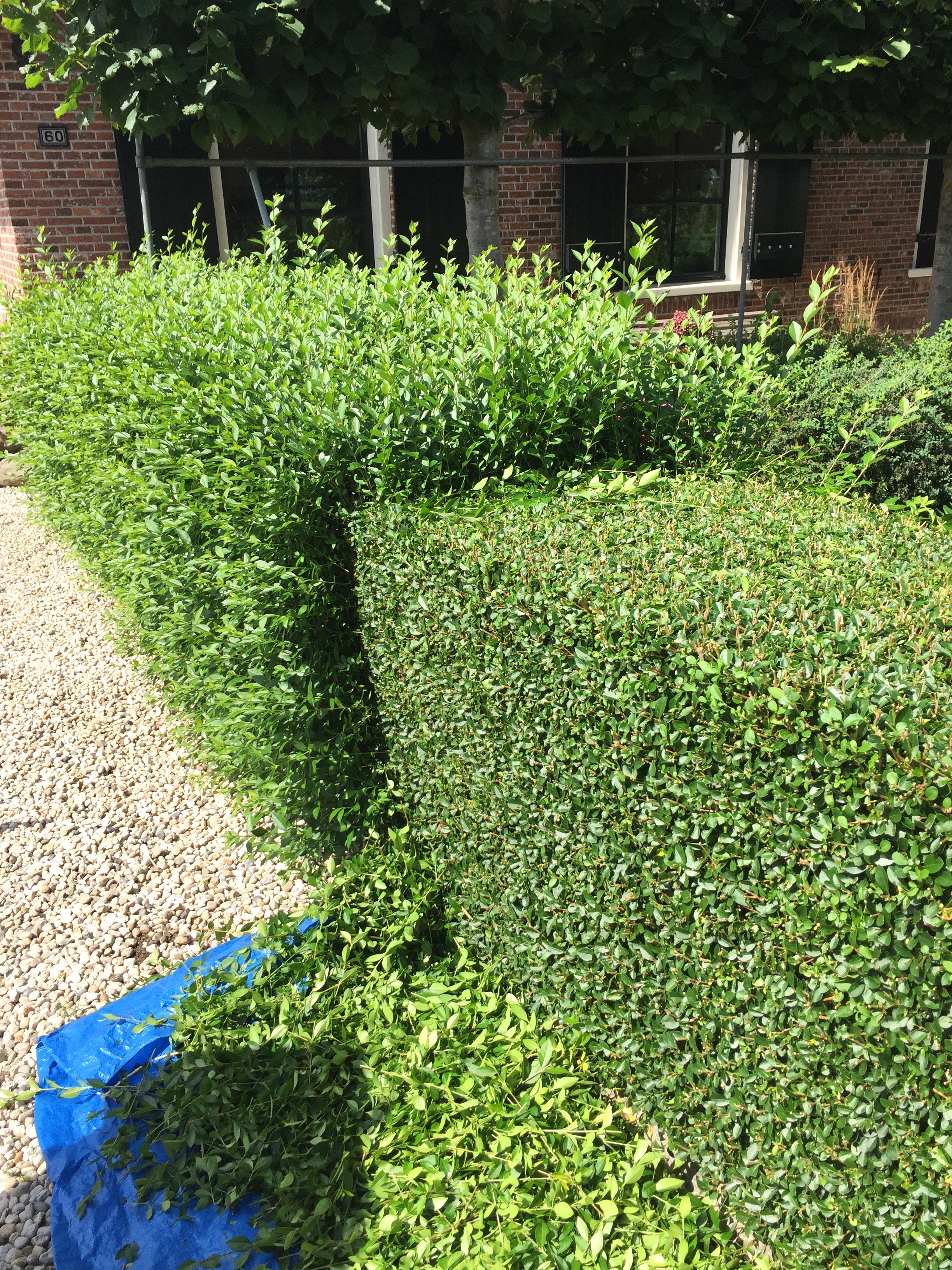 Tuinonderhoud Haastrecht